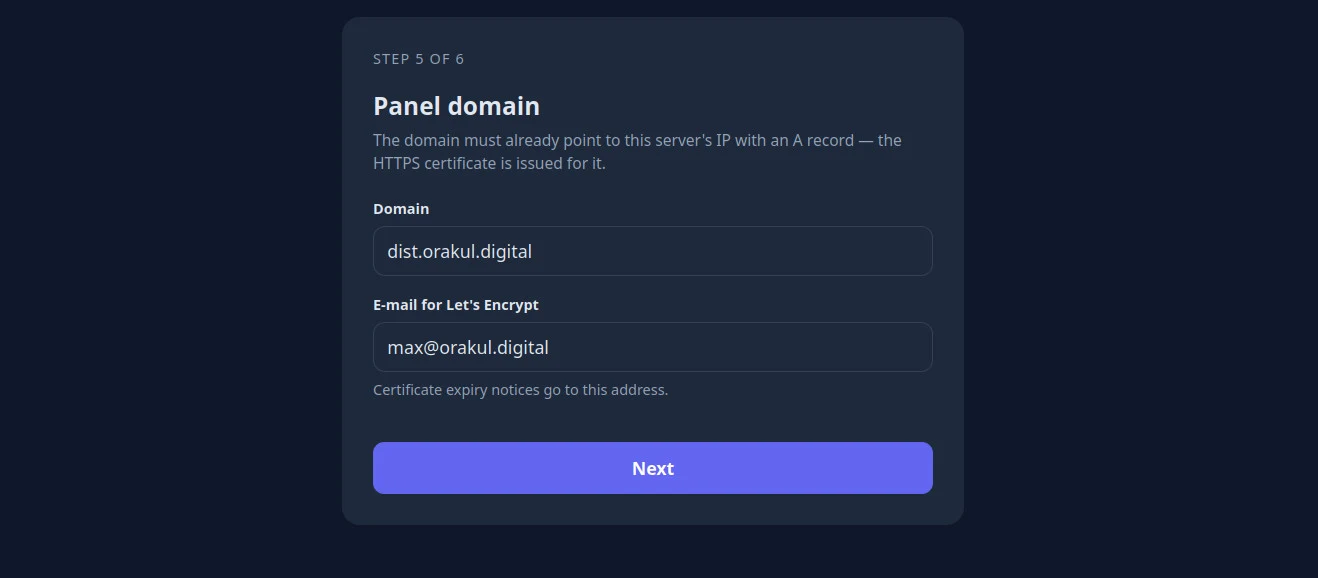Шаг 5 из 6: домен панели и почта для Let's Encrypt